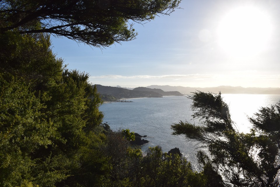Neuseeland - Whitianga - Tolle Aussicht während der Fahrt