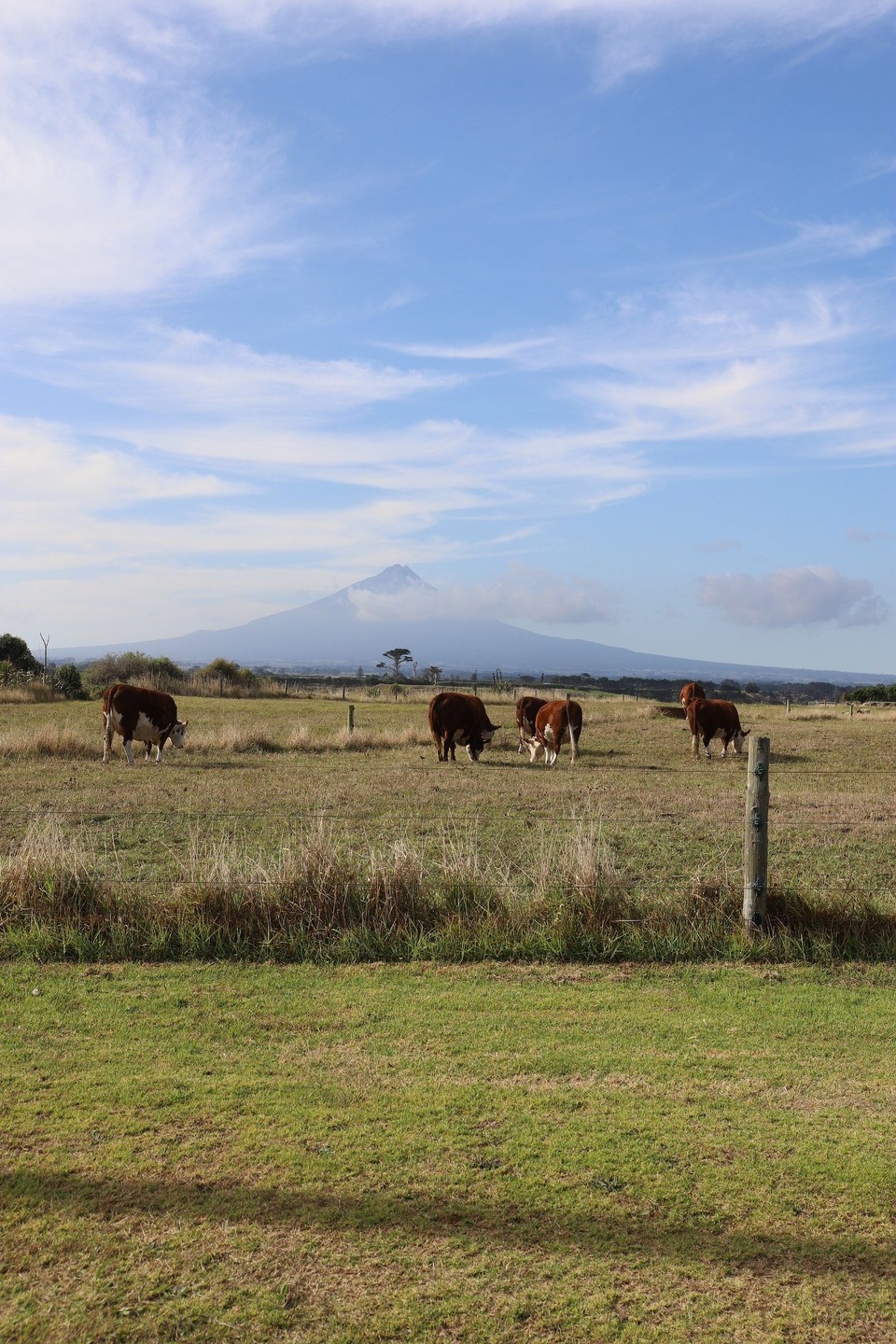 Neuseeland - Taranaki - Erster Ausblick auf den Mount Egmont (Taranaki)
