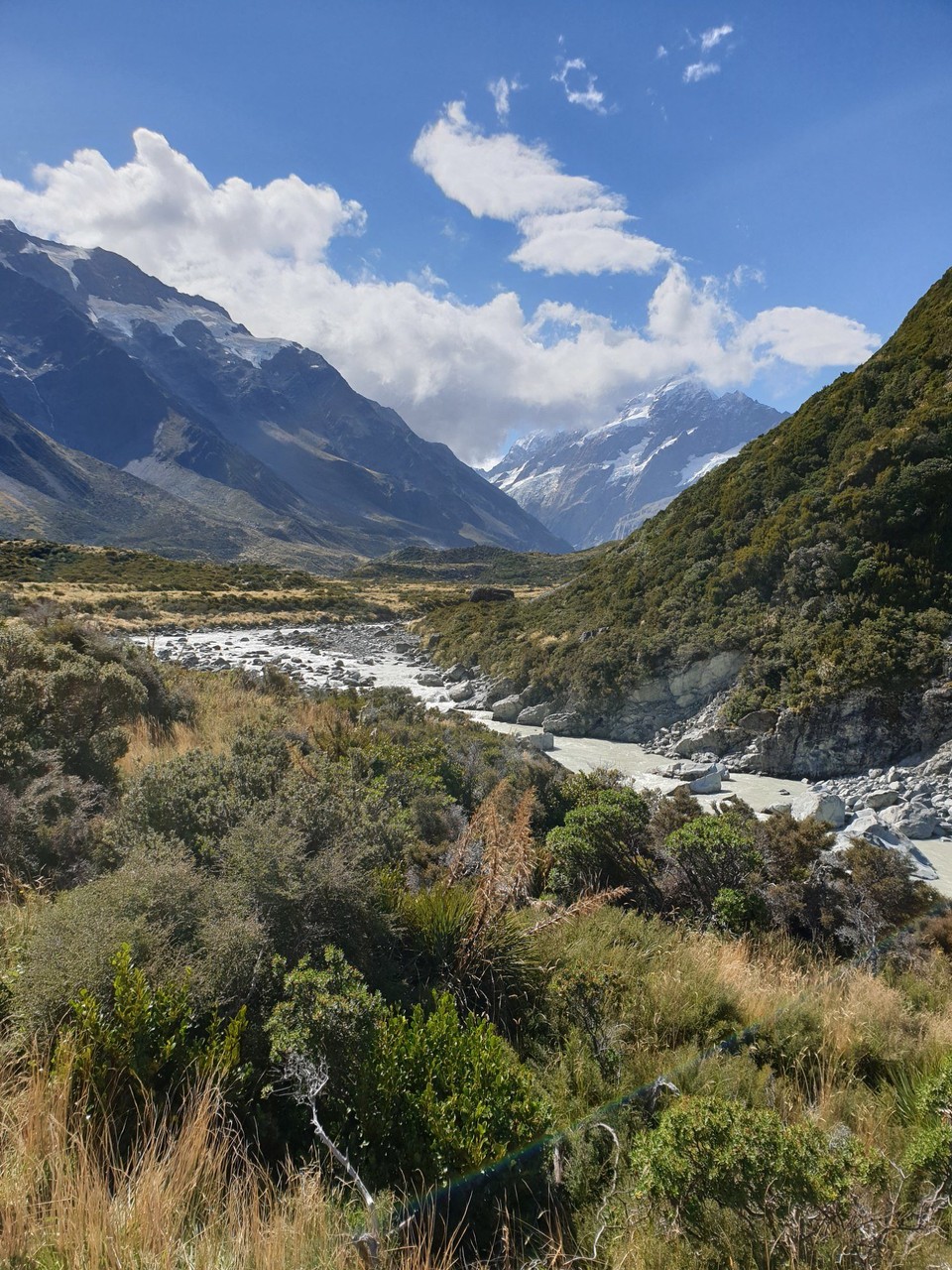 Neuseeland - Aoraki - 