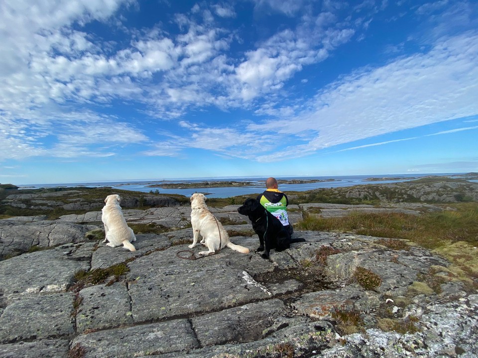 Norwegen - Averøy - Kurz danach stoppen wir spontan, da es einen Platz mit tollem Meerblick nur für uns am Straßenrand gab ☺️ besser geht es nicht - Perfekter Blick - für uns allein - Hundefreundlich ( denn Wald und Wanderwege sind sehr rar! ) 