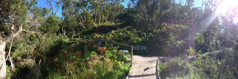 Australia - Tidal River - Going hiking. 