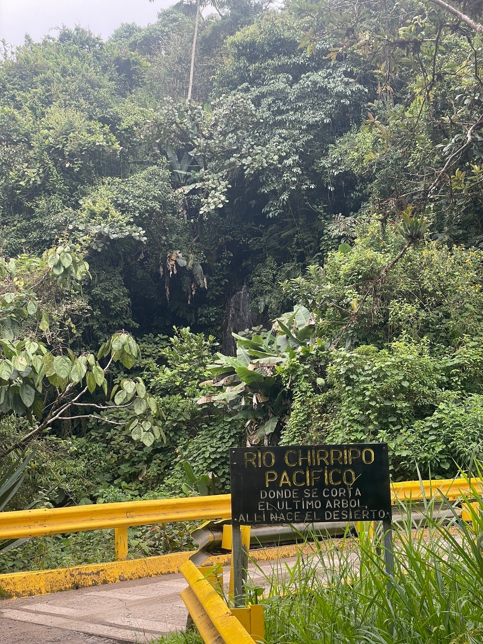 Costa Rica - Pérez Zeledón - Zum warm werden für die kommenden zwei Tage hieß es dann 40 Minuten vollgepackt zum Hotel laufen 🥾 (der Weg war schön, aber anstrengend 😰 - jetzt schon??)
