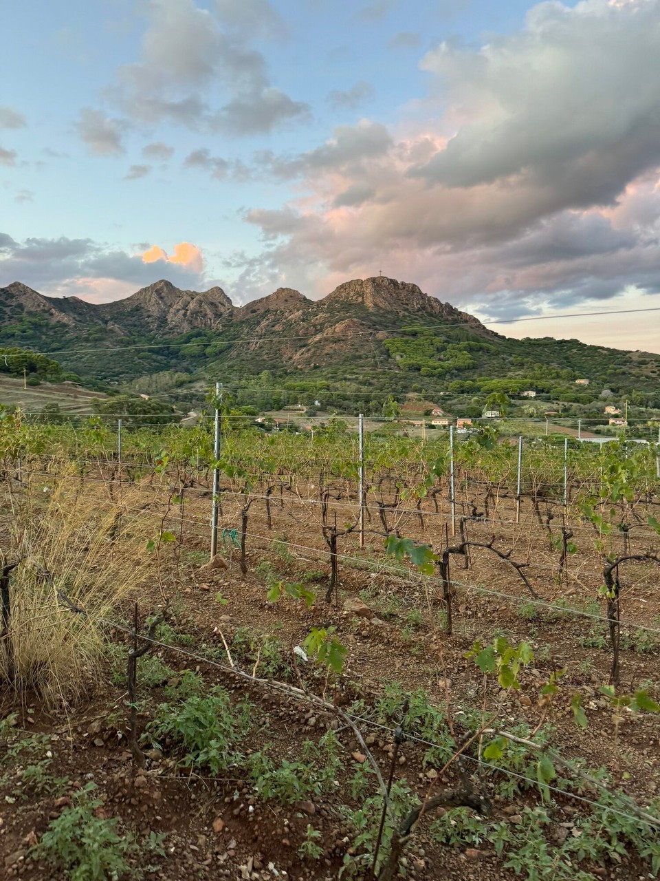 Italien - Marciana - 27 Hektar, wunderschön eingebettet