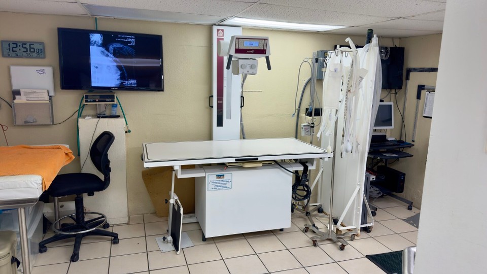 Vereinigte Staaten - Marathon - 