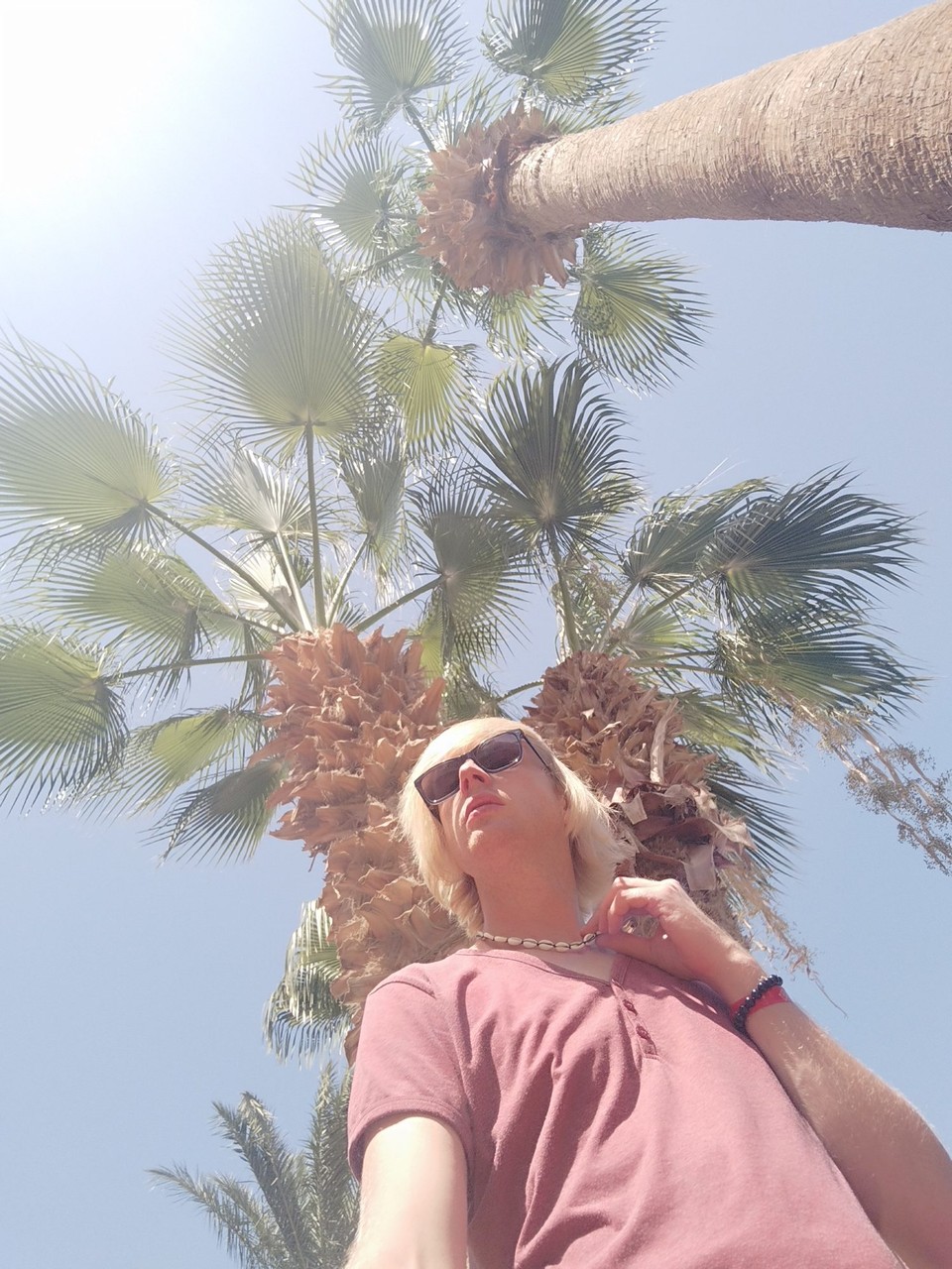 Ägypten - Hurghada - Palm happiness 