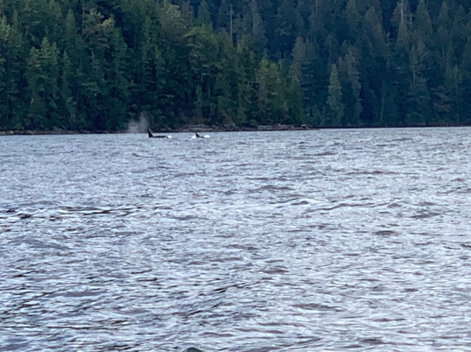 Kanada - Campbell River 11 - 