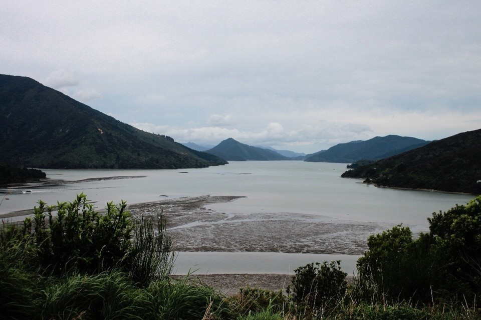 Neuseeland - Picton - Auf dem Weg nach Picton, Beginn des Queen Charlotte Sounds 