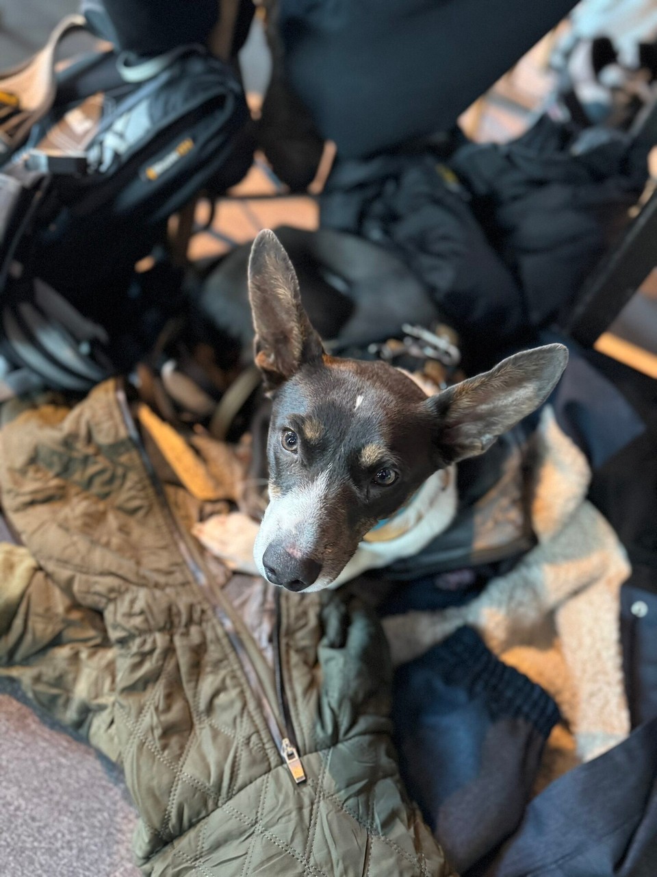 Norwegen - Øyer - Ruhiges Plätzchen?! 

Die Hütte ist voll, aber da unten scheint es ok zu sein. 