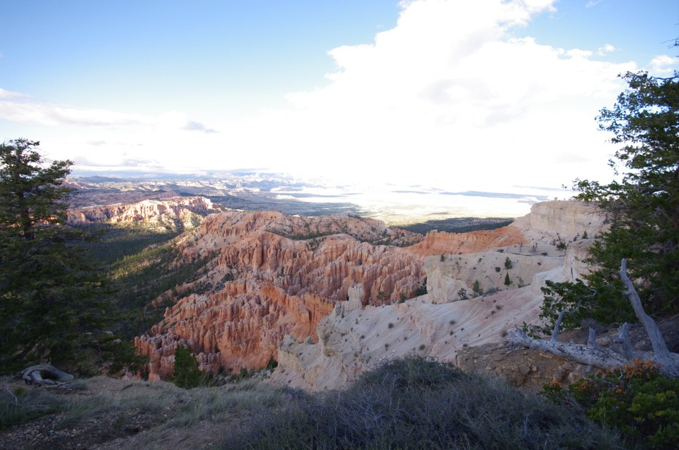 USA - Bryce-Canyon-Nationalpark - 