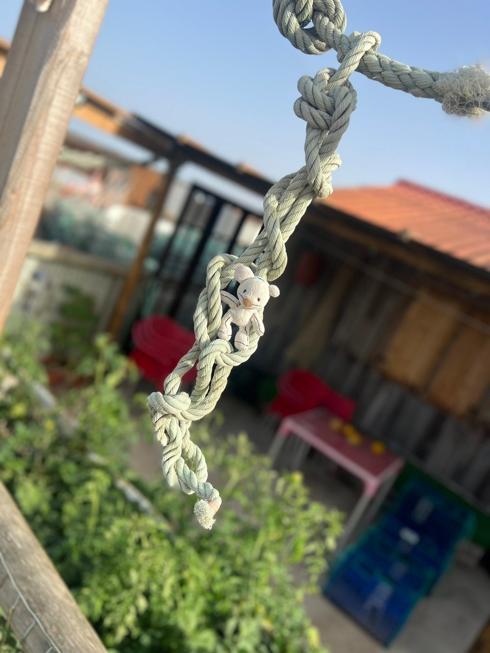 Portugal - Zambujeira do Mar - 