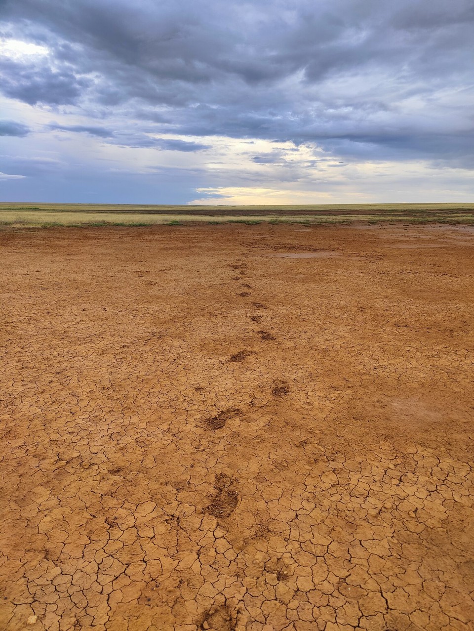 Kasachstan - Абай - Ich hinterlasse meine Spuren in der Steppe