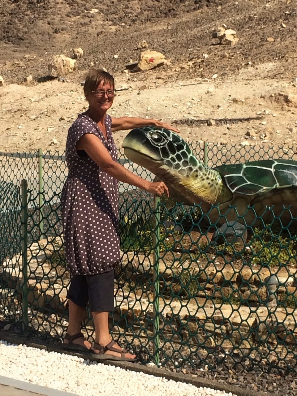 Oman -  - An den Stränden hier am ‚Ostkap‘ - und nur hier! - legen die grünen Meeresschildkröten ihre Eier ab