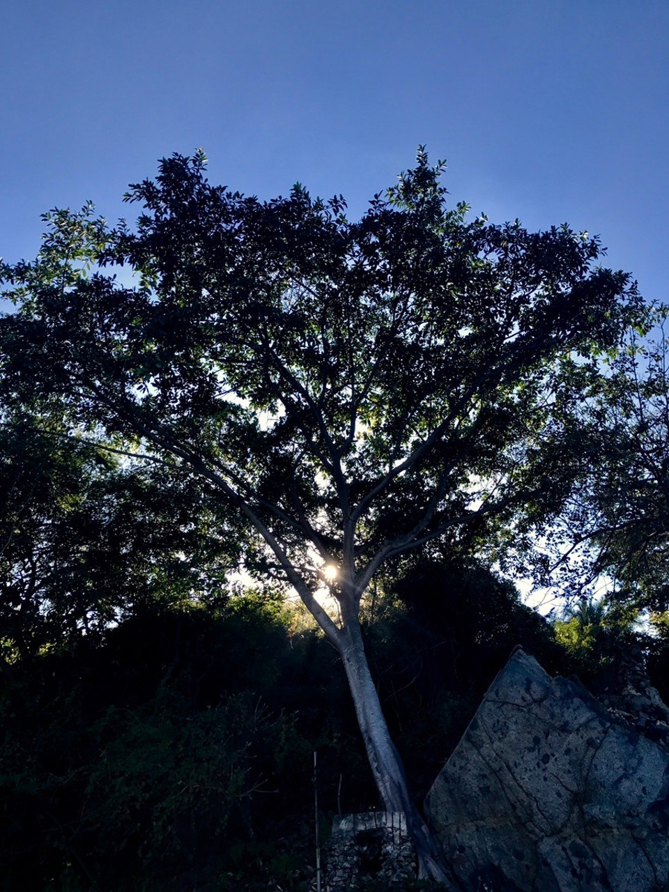 Mexiko - Sayulita - 