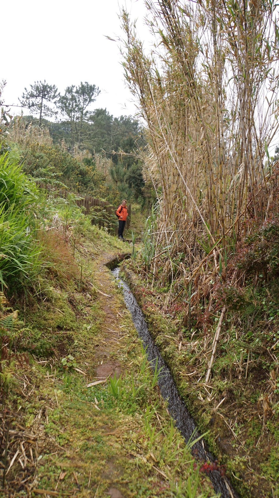 Portugal - Porto Moniz - Entlang der Mühlenlevada