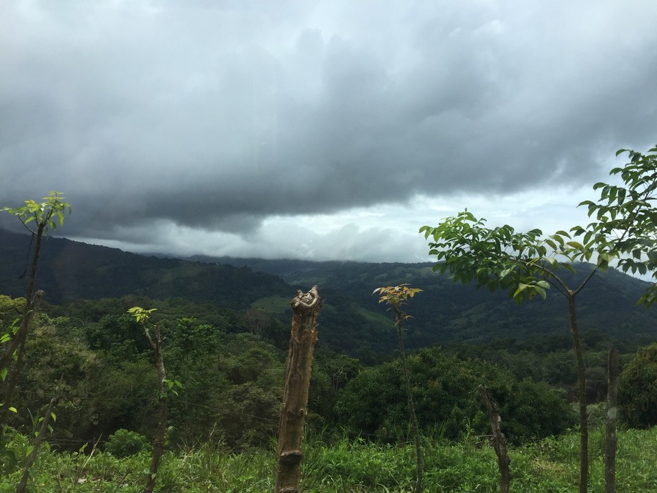 Costa Rica - Pérez Zeledón - 