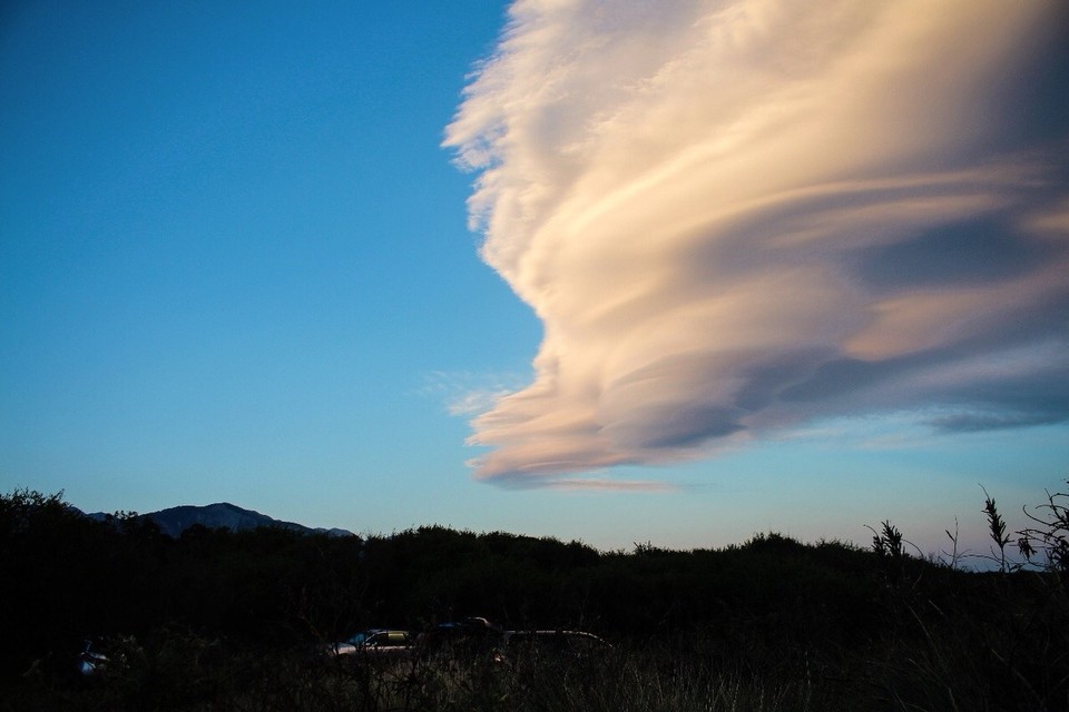 Neuseeland - Kaikoura Peninsula - 