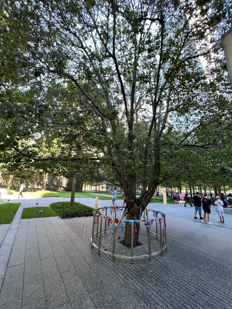 Vereinigte Staaten - New York - Der Survivor Tree
