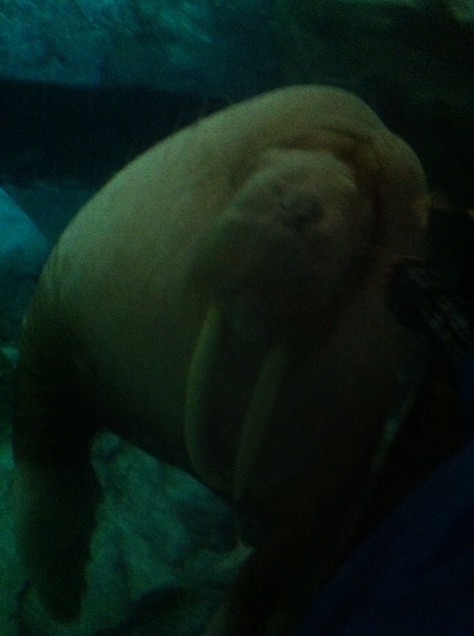 Egyesült Államok - Orlando - 