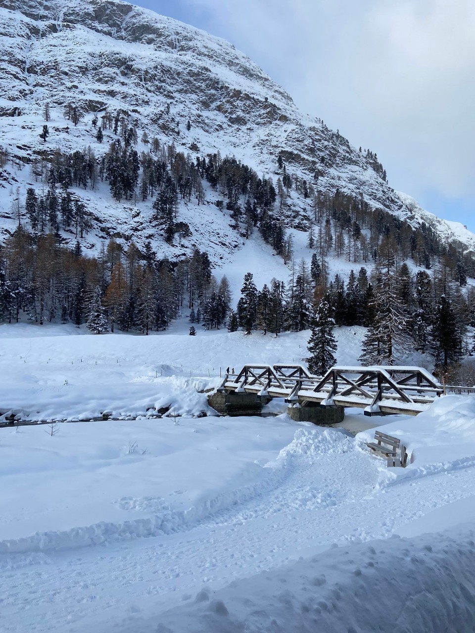 Schweiz - Pontresina - 