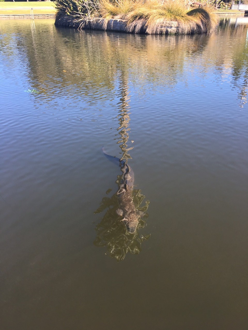 Ausztrália - Sydney - 