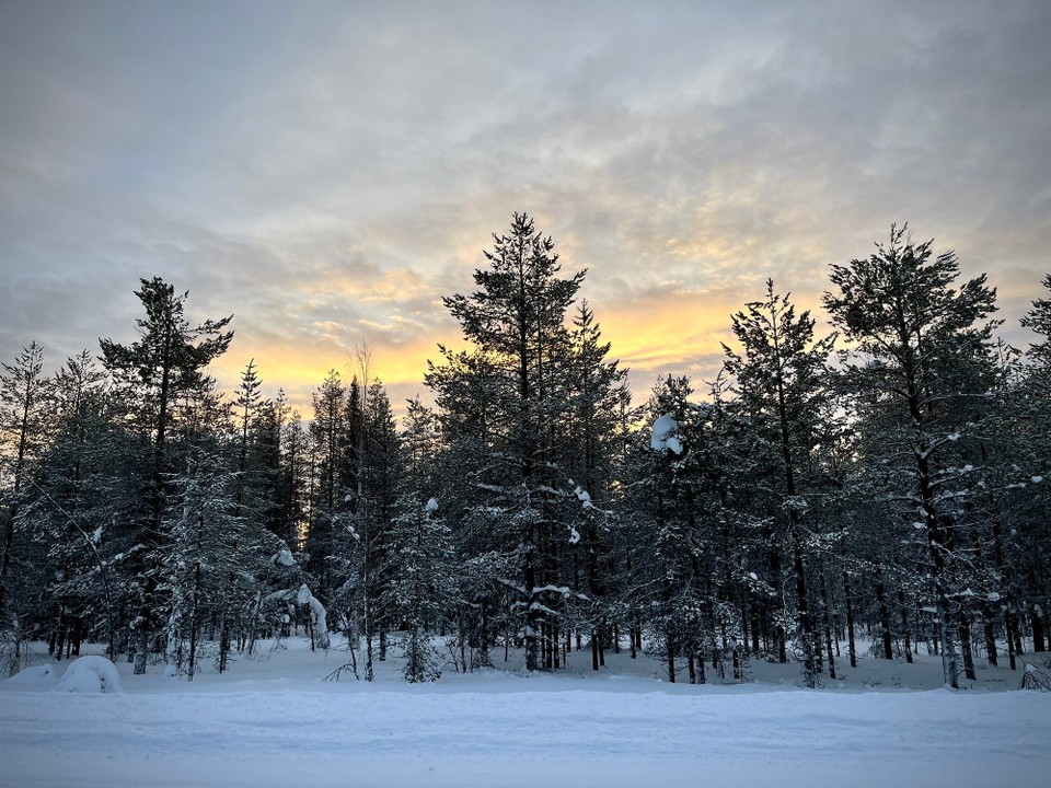 Norwegen - Kautokeino - Lappland
