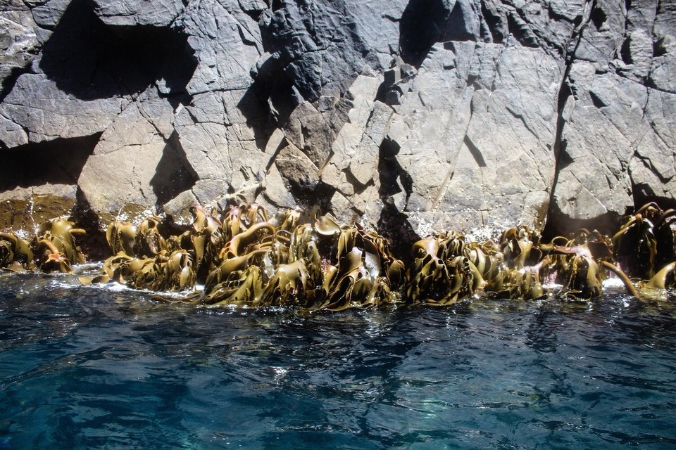 Australien - Adventure Bay - 