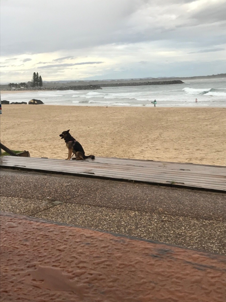 Australien - Port Macquarie - 