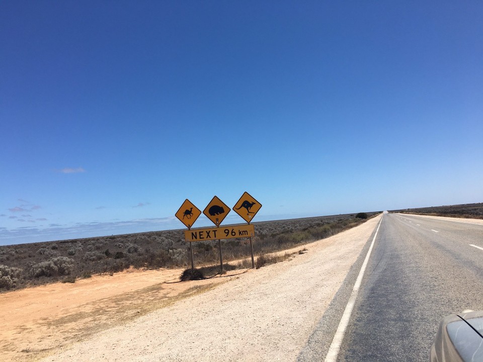 Australien - Norseman - Leider haben wir weder Wombats, noch Kamele gesehen...