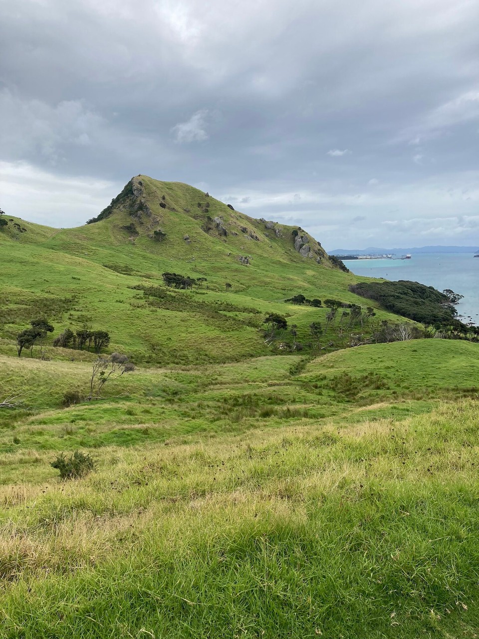 Neuseeland - Whangarei Heads - 