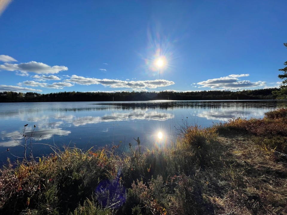 Finnland - Lievestuore - 