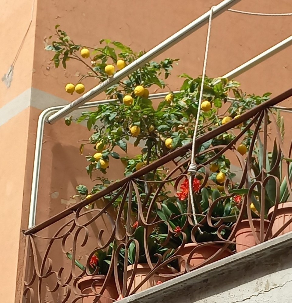 Italien - Civitavecchia - 