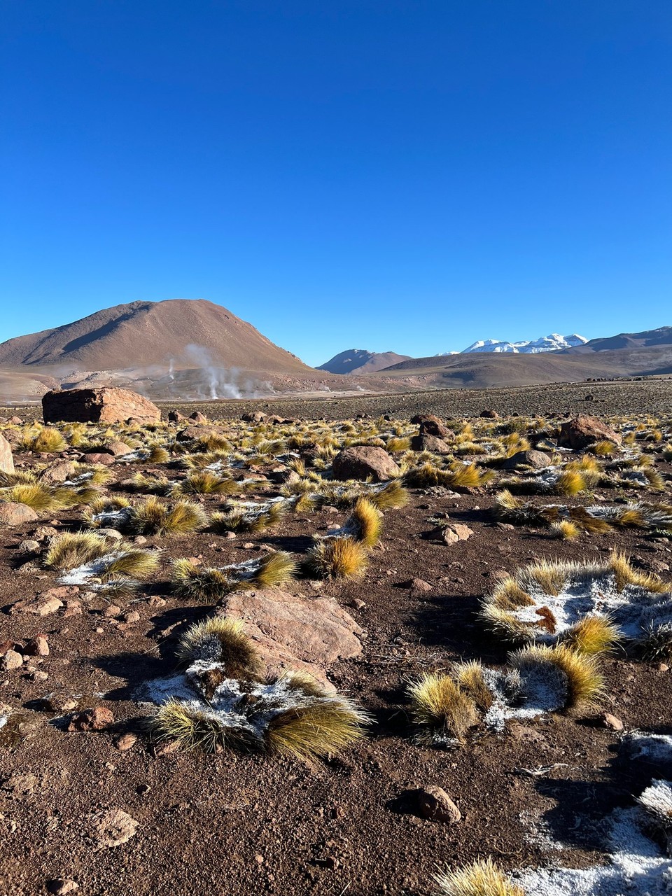 Chile - Antofagasta - 