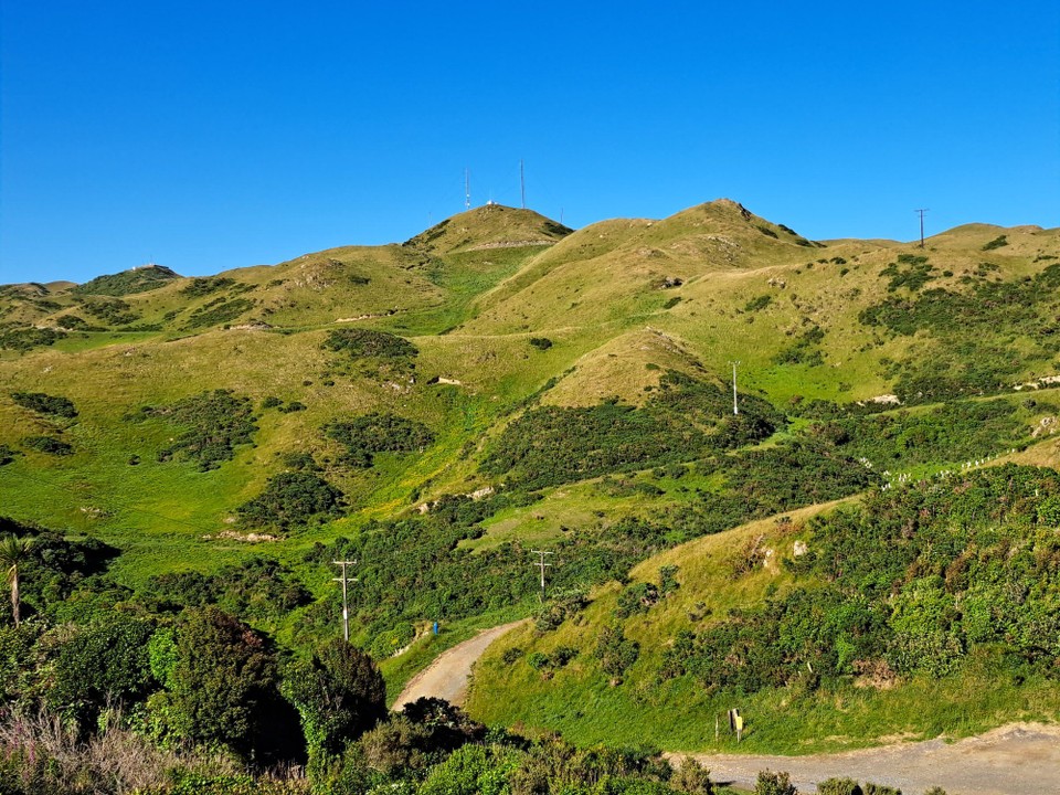 Neuseeland - Wellington - 