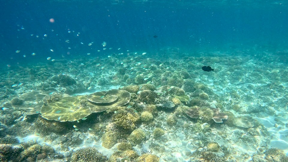 Indonesien - Kabupaten Lombok Utara - 