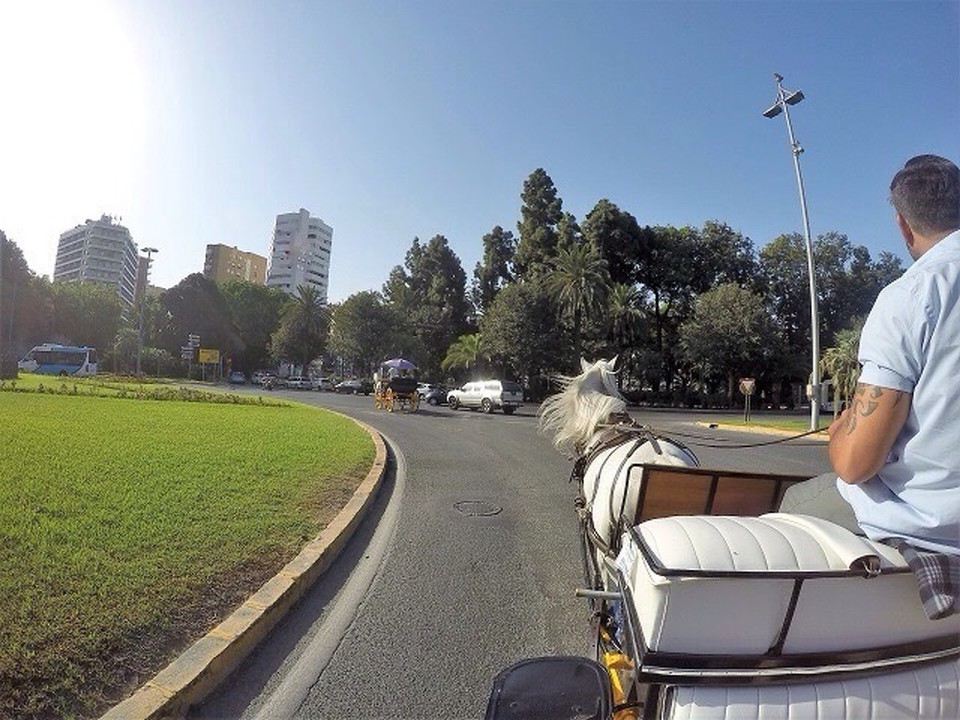  - Spanien, Málaga  - 
