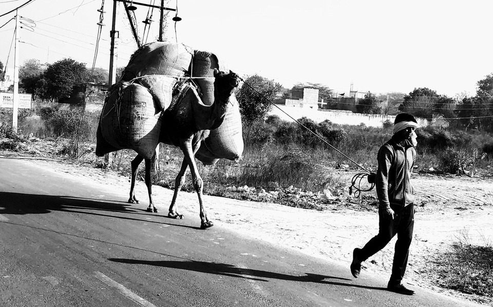 India - Gurugram - Shadows 