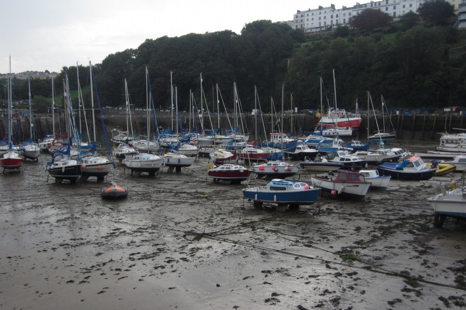 Vereinigtes Königreich - Ilfracombe - Kleiner Naturhafen bei Ebbe