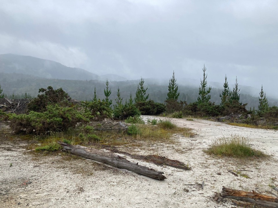 Neuseeland - Kahurangi National Park - Regen zieht auf, ab nach Hause