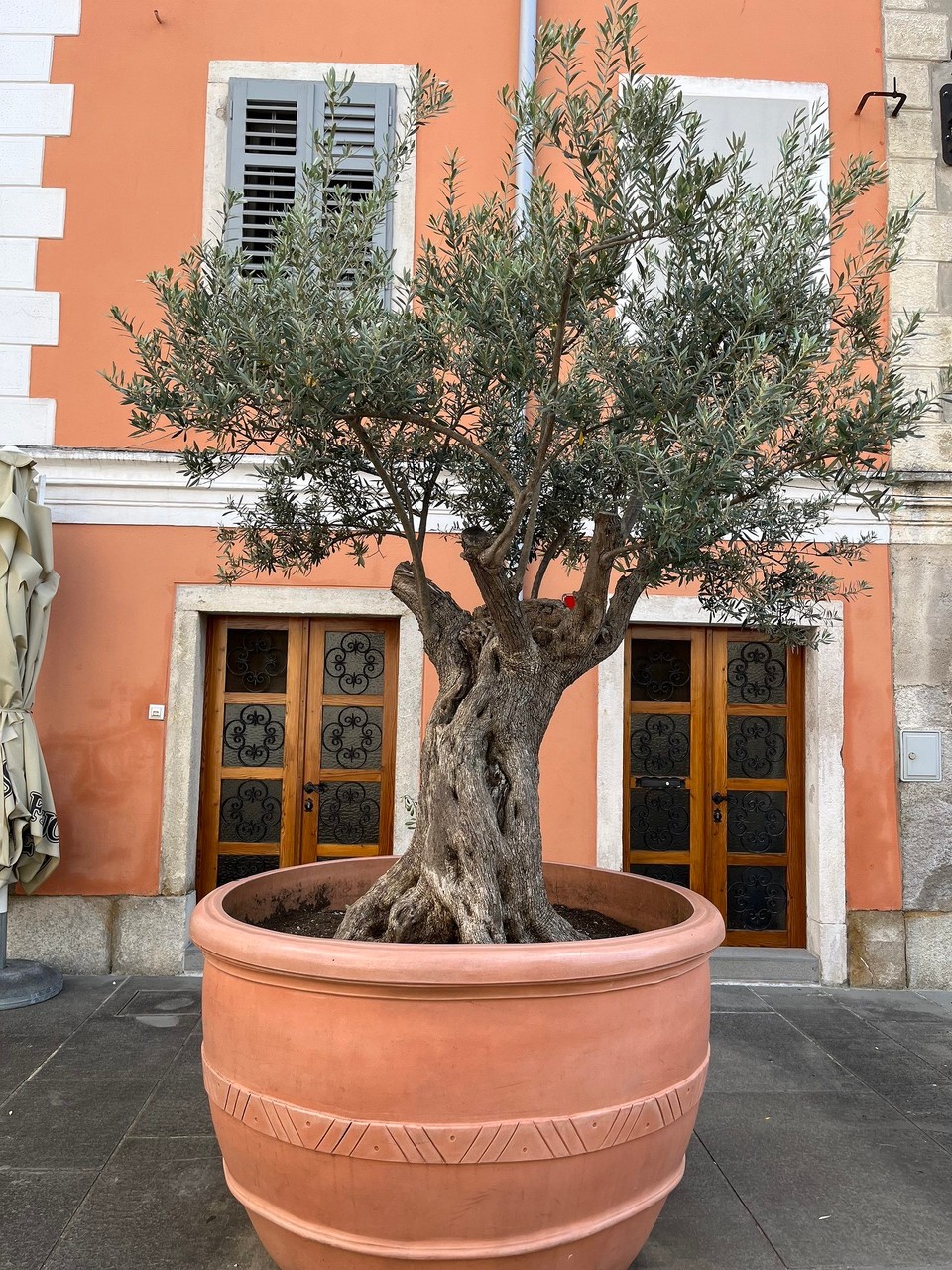 Slowenien - Izola - 