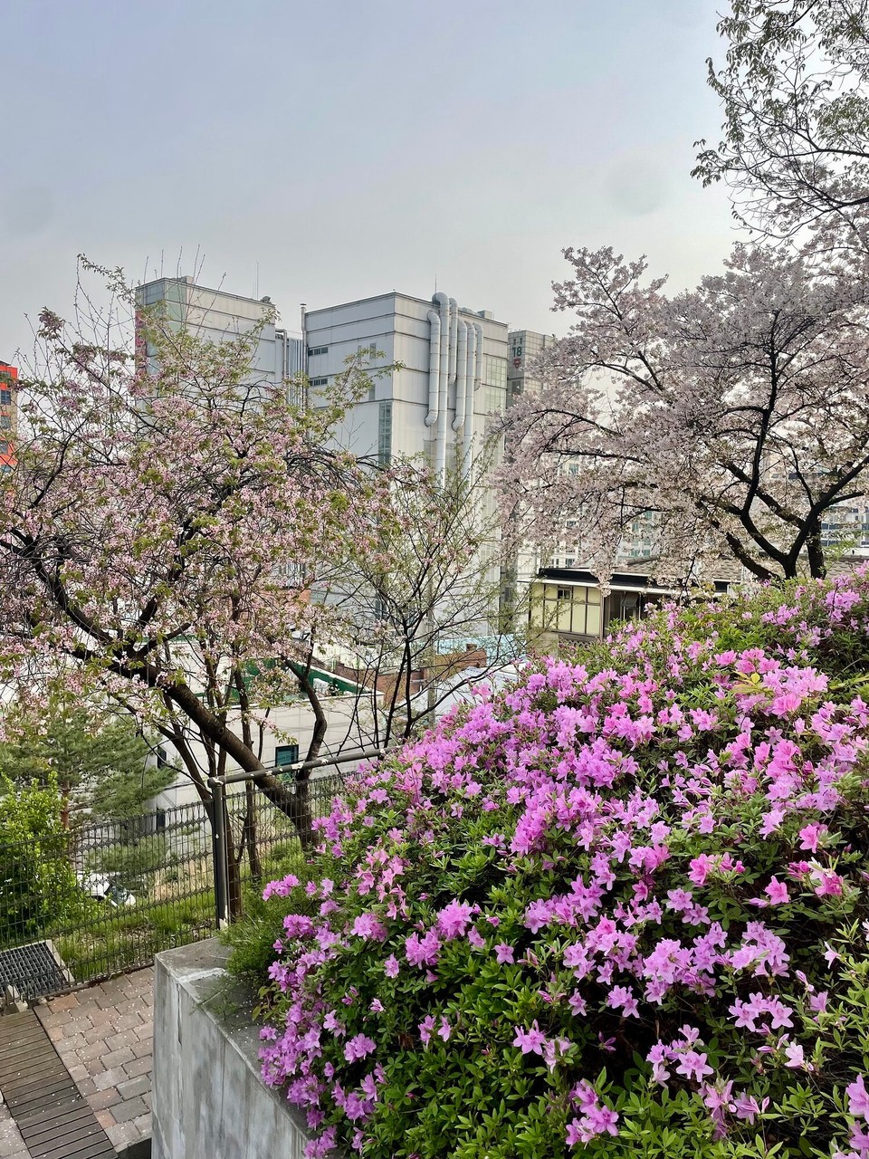 대한민국 - 서울특별시 - 