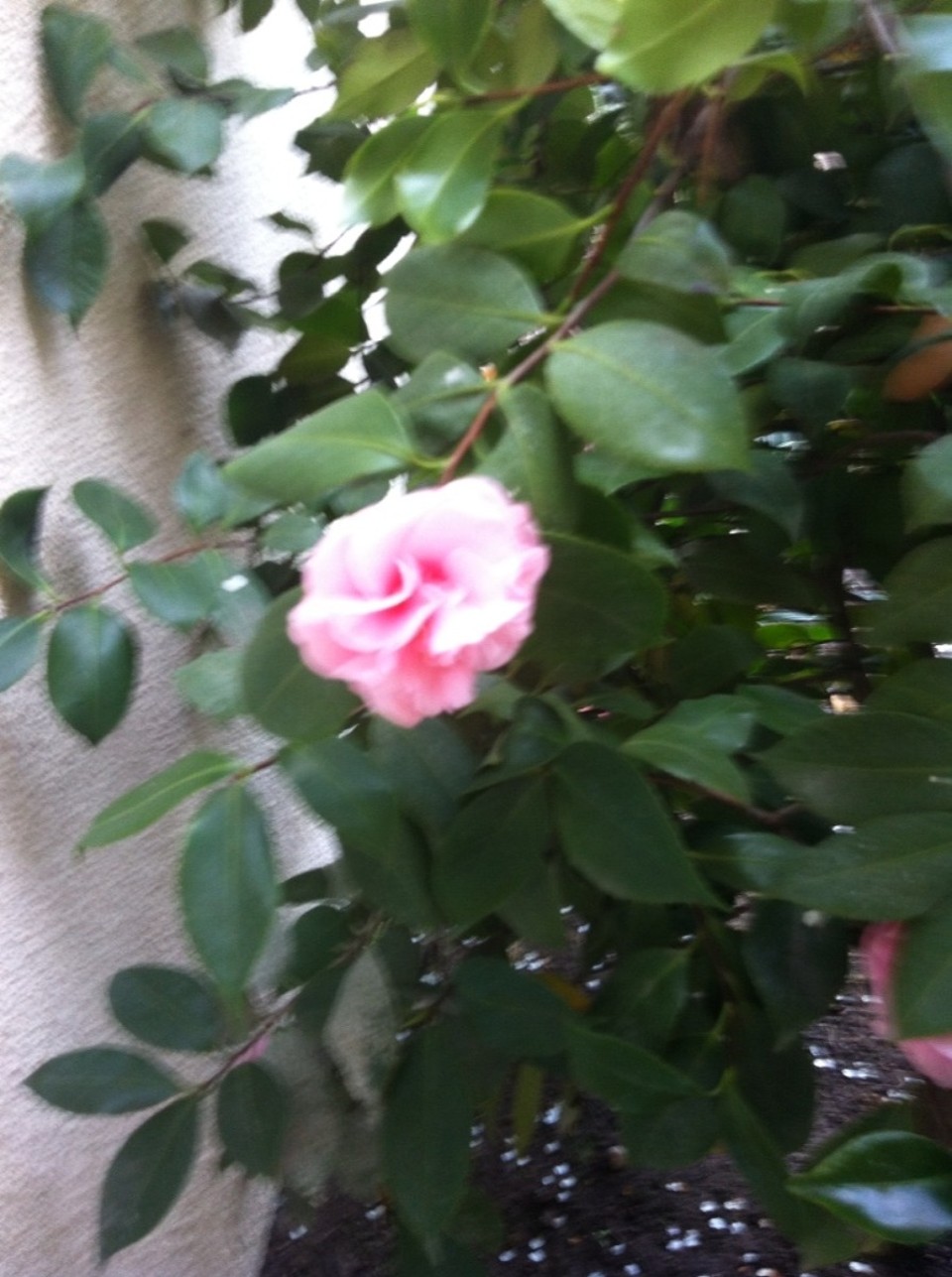 Egyesült Államok - Three Rivers - 