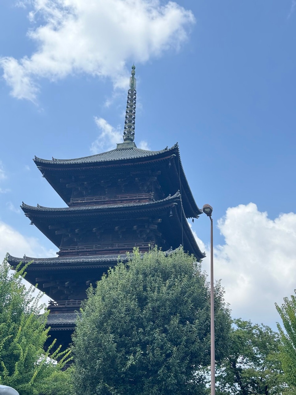 Japan - Koya - aus dem Auto