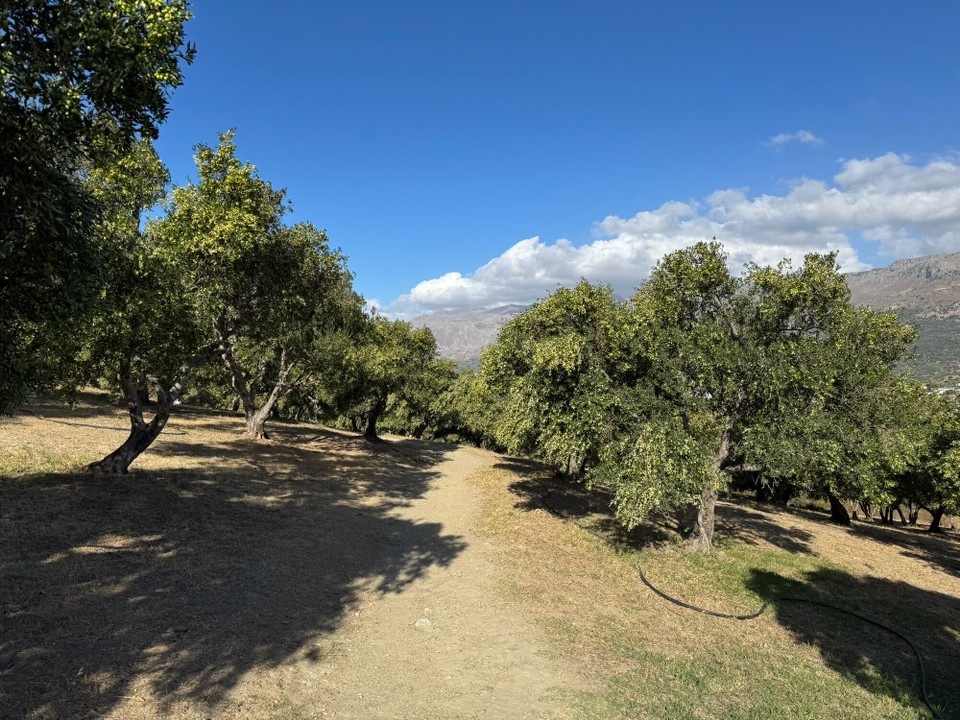Griechenland - Myrthios - 