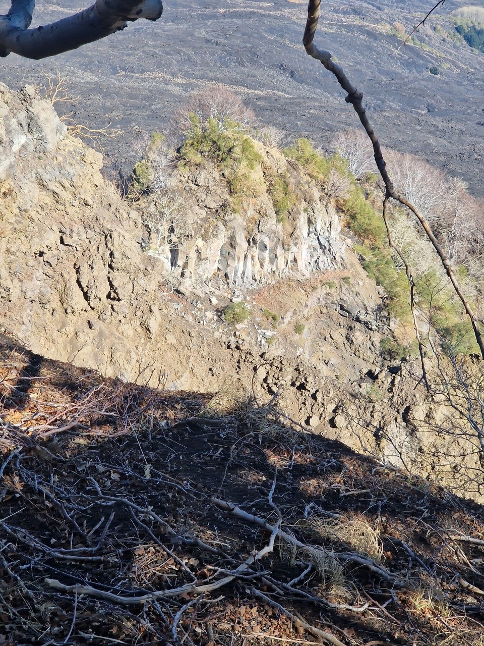 Italien - Zafferana Etnea - 