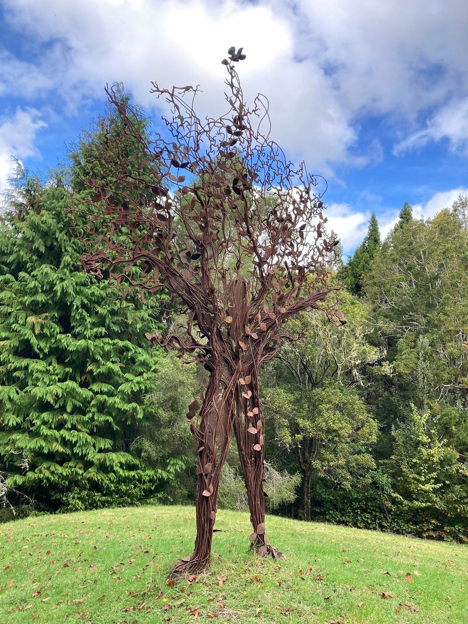 Neuseeland - Gisborne - Der Baummann