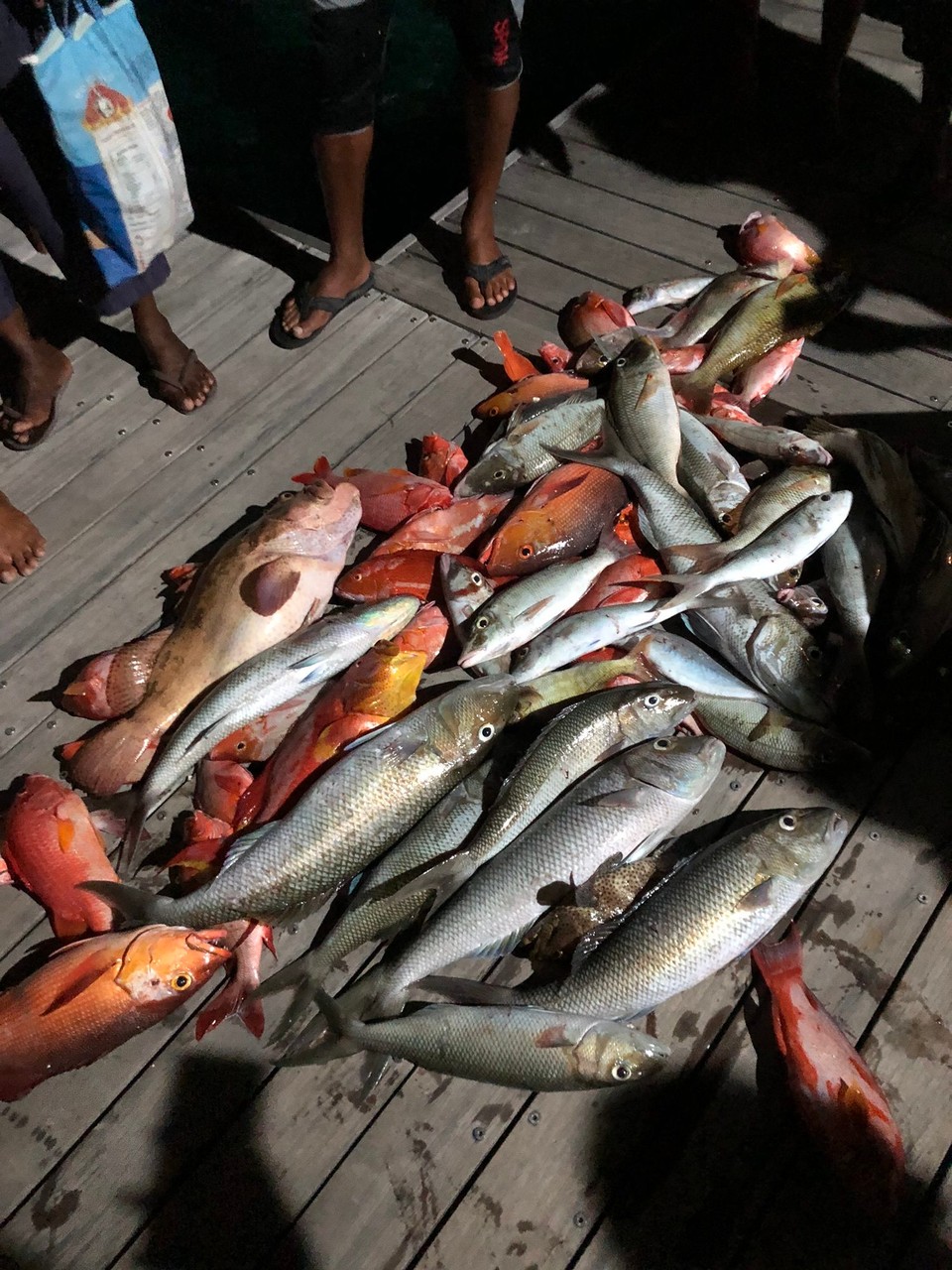 Maldives - Rangali - 
