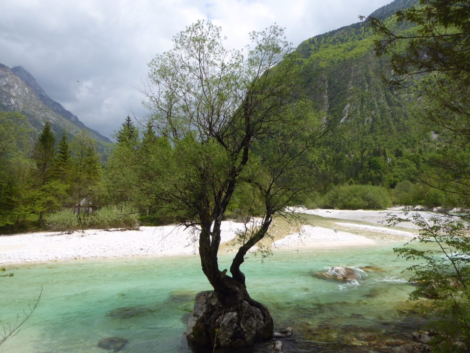Slowenien - Bovec - Die niemals durstige Weide 