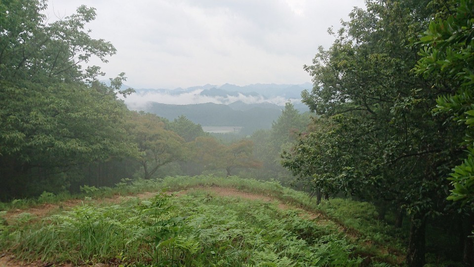 Japan - Tanabe - Mystische Berglandschaft im Dunst. 