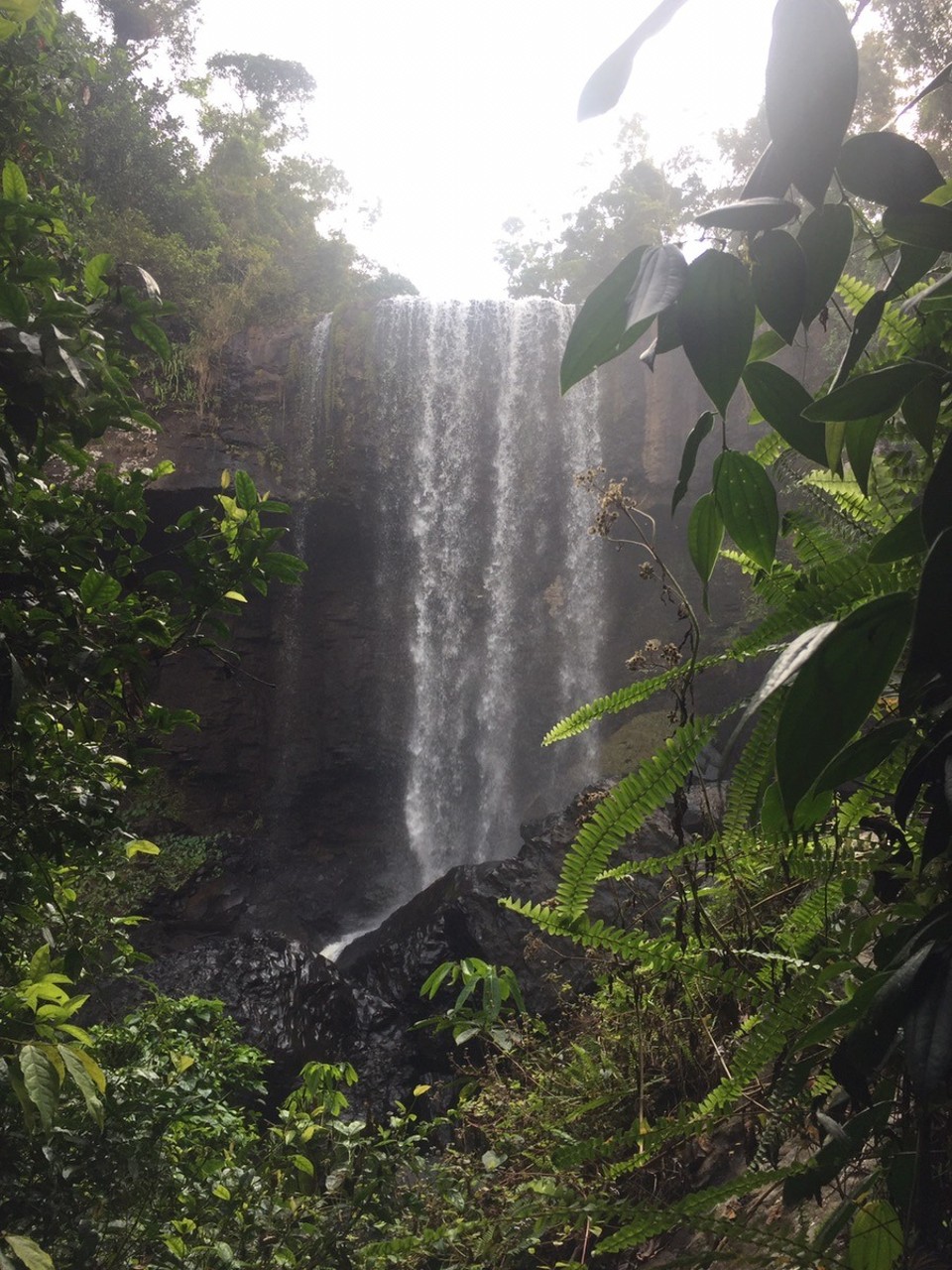  - Australia, Zillie Falls - 