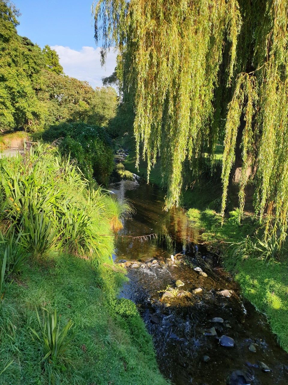 Neuseeland - Oamaru - 